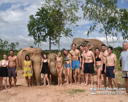 Elephant Jungle Sanctuary excursion in Pattaya Thailand - photo 155