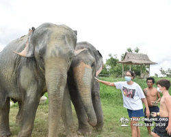 Elephant Jungle Sanctuary excursion in Pattaya Thailand - photo 916