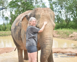 Elephant Jungle Sanctuary excursion in Pattaya Thailand - photo 314