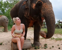 Elephant Jungle Sanctuary excursion in Pattaya Thailand - photo 654