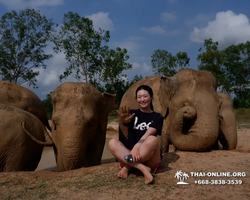 Elephant Jungle Sanctuary excursion in Pattaya Thailand - photo 545