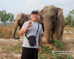 Elephant Jungle Sanctuary excursion in Pattaya Thailand - photo 710