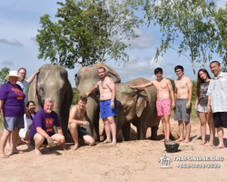 Elephant Jungle Sanctuary excursion in Pattaya Thailand - photo 123