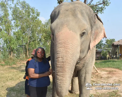 Elephant Jungle Sanctuary excursion in Pattaya Thailand - photo 147