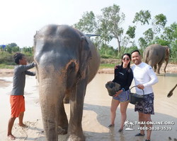 Elephant Jungle Sanctuary excursion in Pattaya Thailand - photo 671