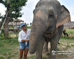 Elephant Jungle Sanctuary excursion in Pattaya Thailand - photo 237