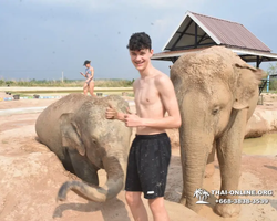 Elephant Jungle Sanctuary excursion in Pattaya Thailand - photo 986