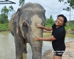 Elephant Jungle Sanctuary excursion in Pattaya Thailand - photo 544