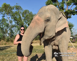 Elephant Jungle Sanctuary excursion in Pattaya Thailand - photo 83