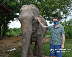 Elephant Jungle Sanctuary excursion in Pattaya Thailand - photo 334