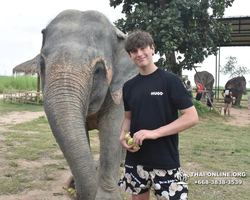 Elephant Jungle Sanctuary excursion in Pattaya Thailand - photo 391