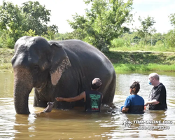 Elephant Jungle Sanctuary excursion in Pattaya Thailand - photo 357