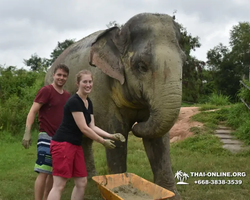 Elephant Jungle Sanctuary excursion in Pattaya Thailand - photo 907
