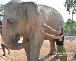 Elephant Jungle Sanctuary excursion in Pattaya Thailand - photo 317