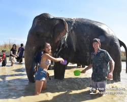 Elephant Jungle Sanctuary excursion in Pattaya Thailand - photo 955