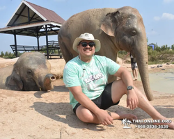 Elephant Jungle Sanctuary excursion in Pattaya Thailand - photo 689