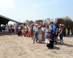 Elephant Jungle Sanctuary excursion in Pattaya Thailand - photo 616