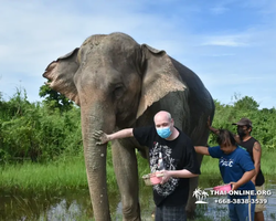 Elephant Jungle Sanctuary excursion in Pattaya Thailand - photo 832