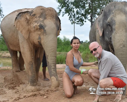 Elephant Jungle Sanctuary excursion in Pattaya Thailand - photo 411