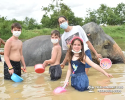 Elephant Jungle Sanctuary excursion in Pattaya Thailand - photo 686