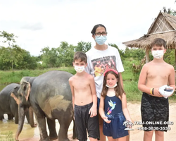 Elephant Jungle Sanctuary excursion in Pattaya Thailand - photo 952