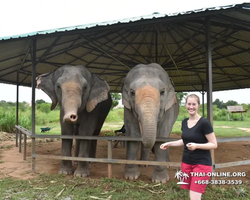 Elephant Jungle Sanctuary excursion in Pattaya Thailand - photo 747