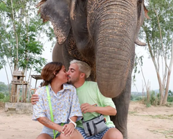 Elephant Jungle Sanctuary excursion in Pattaya Thailand - photo 172