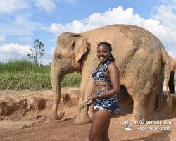 Elephant Jungle Sanctuary excursion in Pattaya Thailand - photo 415