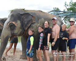 Elephant Jungle Sanctuary excursion in Pattaya Thailand - photo 533