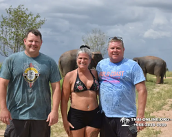 Elephant Jungle Sanctuary excursion in Pattaya Thailand - photo 958