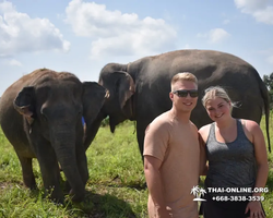 Elephant Jungle Sanctuary excursion in Pattaya Thailand - photo 1057