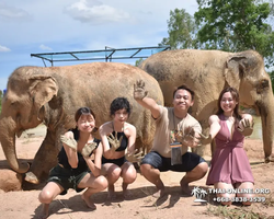 Elephant Jungle Sanctuary excursion in Pattaya Thailand - photo 361