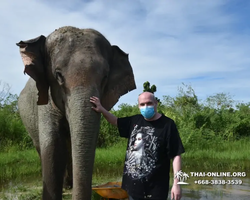 Elephant Jungle Sanctuary excursion in Pattaya Thailand - photo 931