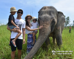 Elephant Jungle Sanctuary excursion in Pattaya Thailand - photo 247