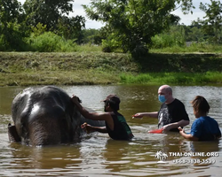 Elephant Jungle Sanctuary excursion in Pattaya Thailand - photo 301