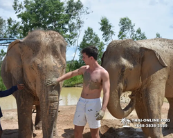 Elephant Jungle Sanctuary excursion in Pattaya Thailand - photo 310