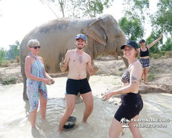 Elephant Jungle Sanctuary excursion in Pattaya Thailand - photo 446