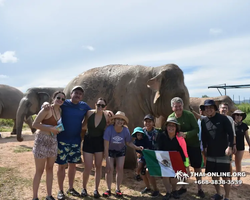 Elephant Jungle Sanctuary excursion in Pattaya Thailand - photo 962