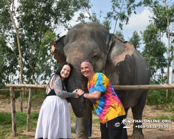 Elephant Jungle Sanctuary excursion in Pattaya Thailand - photo 126