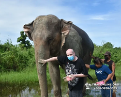 Elephant Jungle Sanctuary excursion in Pattaya Thailand - photo 841