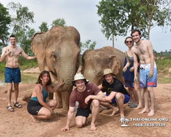 Elephant Jungle Sanctuary excursion in Pattaya Thailand - photo 198