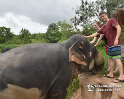 Elephant Jungle Sanctuary excursion in Pattaya Thailand - photo 601