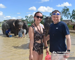 Elephant Jungle Sanctuary excursion in Pattaya Thailand - photo 943