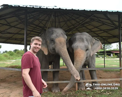 Elephant Jungle Sanctuary excursion in Pattaya Thailand - photo 851
