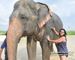 Elephant Jungle Sanctuary excursion in Pattaya Thailand - photo 457