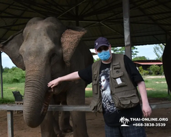 Elephant Jungle Sanctuary excursion in Pattaya Thailand - photo 1079