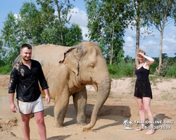 Elephant Jungle Sanctuary excursion in Pattaya Thailand - photo 89