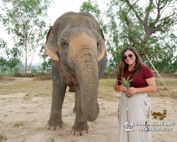 Elephant Jungle Sanctuary excursion in Pattaya Thailand - photo 150