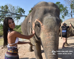 Elephant Jungle Sanctuary excursion in Pattaya Thailand - photo 84