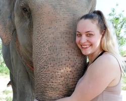 Elephant Jungle Sanctuary excursion in Pattaya Thailand - photo 1023